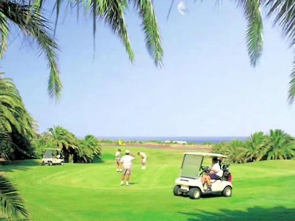 Rosa コスタ・テギセ